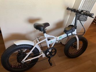 Ecotric Electric Bike