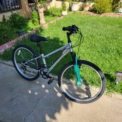 Nishiki top 24 bike