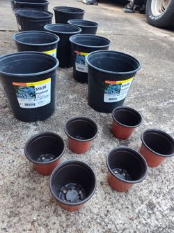 Macetero Todo junto planter pot lot
