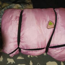 3 Adult Sleeping Bags - Used $75