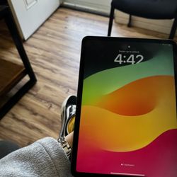 iPad Pro 11in (older Model) 