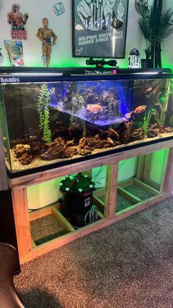 135 gallon aquarium with everything