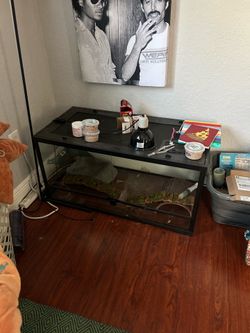 Brand new terrarium
