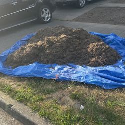 Free Dirt 
