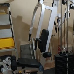 Body Solid Weight Lifting 