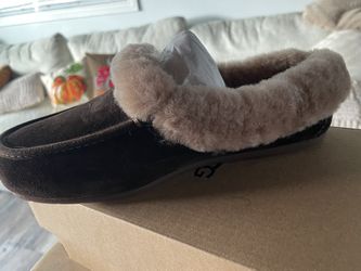 Original Uggs New