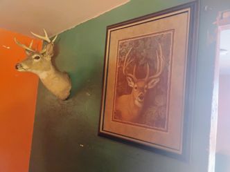 Home Interiors!