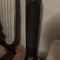 Fan