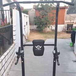 CITYBIRDS Power Tower Dip Station Pull Up Bar for Home Gym Strength Training