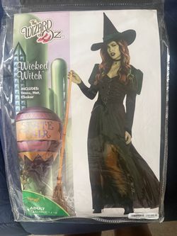Wizard of Oz Wicked Witch Costume Adult XL