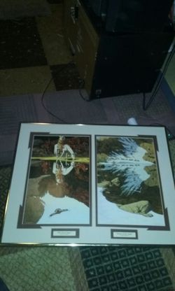 Native picture