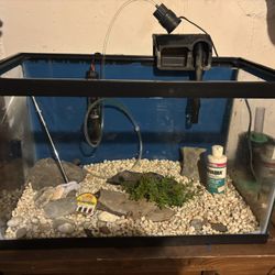 10 Gallon Aquarium And Accessories 