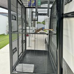 Parrot Cage