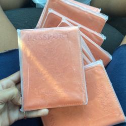 Passport Holder