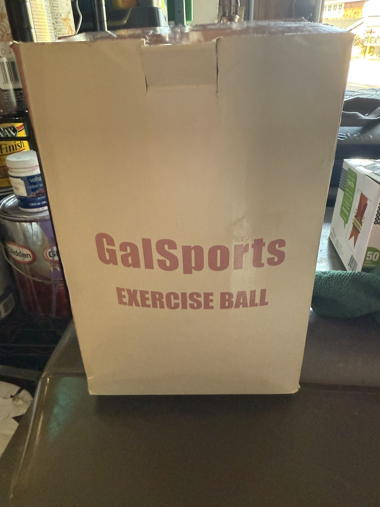 65cm Exercise Ball