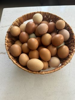 Huevos Frescos