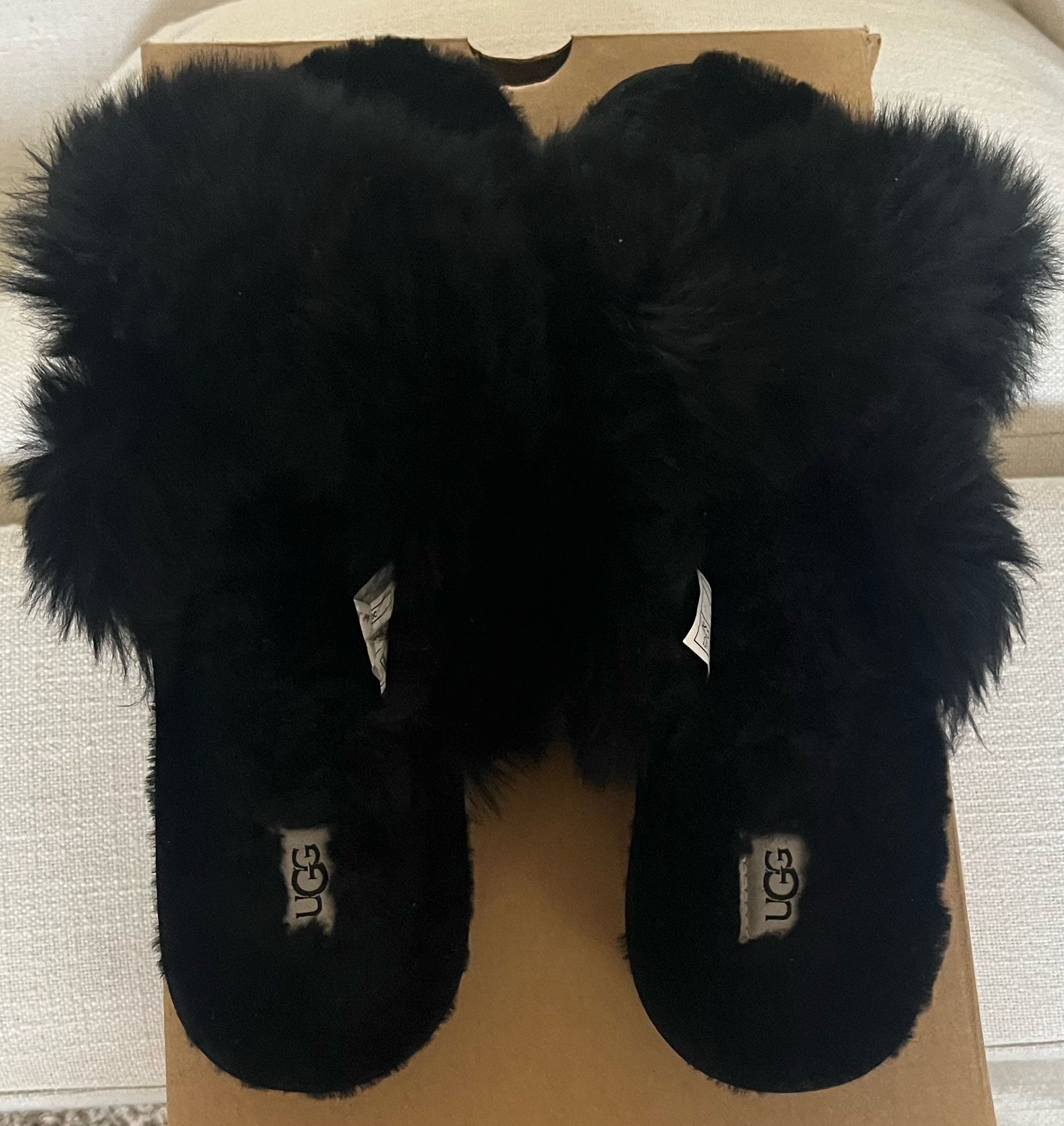 Ugg Shoes