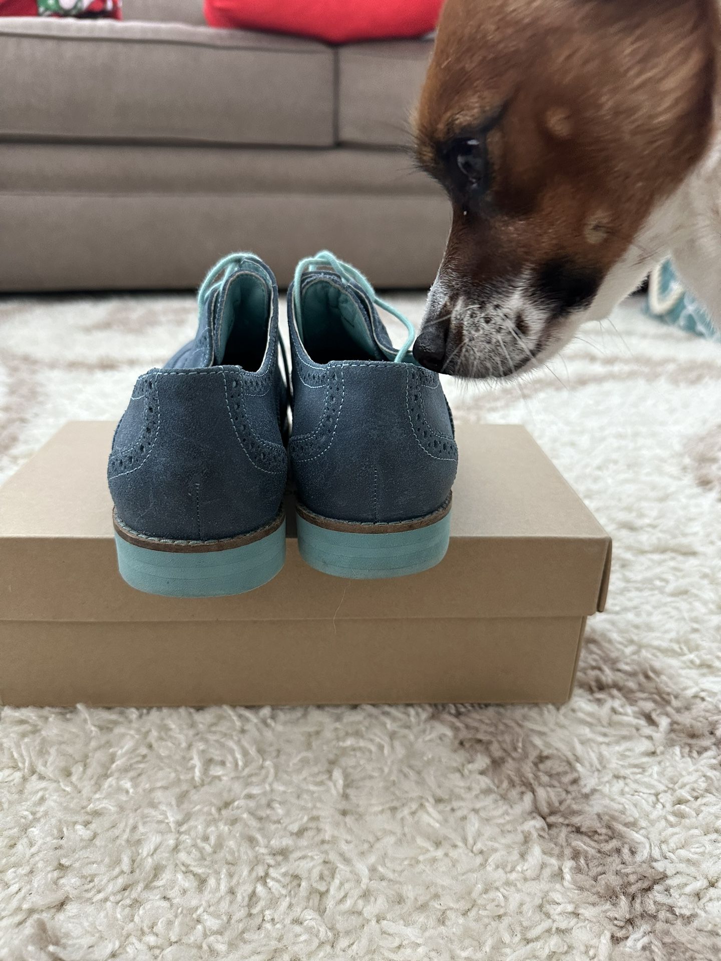 Cole Haan Light Blue Suede Oxfords Cole Haan Lunargrand Size 9B Navy Blue Suede Wingtip Oxfords  main image 4