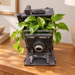 Speed Graphic Vintage Camera Planter