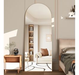 Large floor mirror 65” by 24”