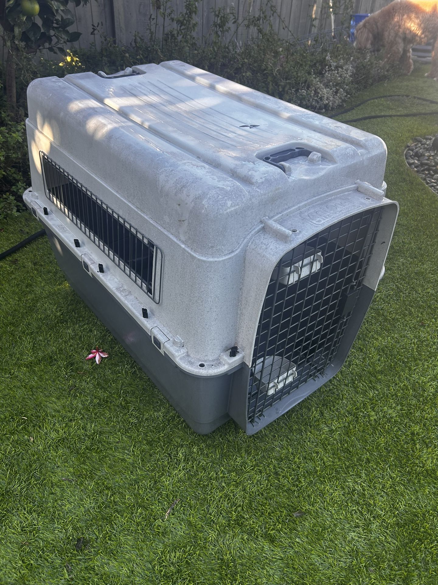Dog Crate for Large Dog