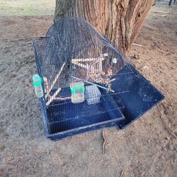 Bird Cage 