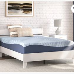 King Size Curve 12" Plush Memory Foam Mattress