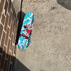 Small Skateboard