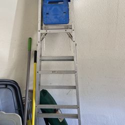 Werner 6 Ft Metal Ladder - Rated For 250 Lbs