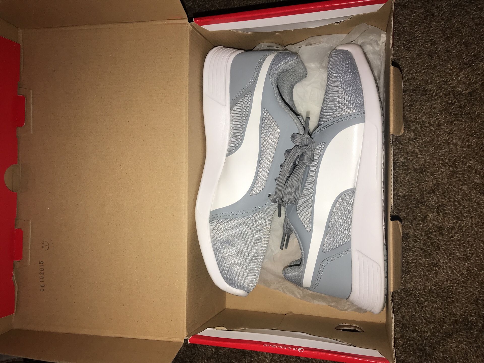 Grey pumas