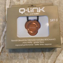 Q Link Pendant