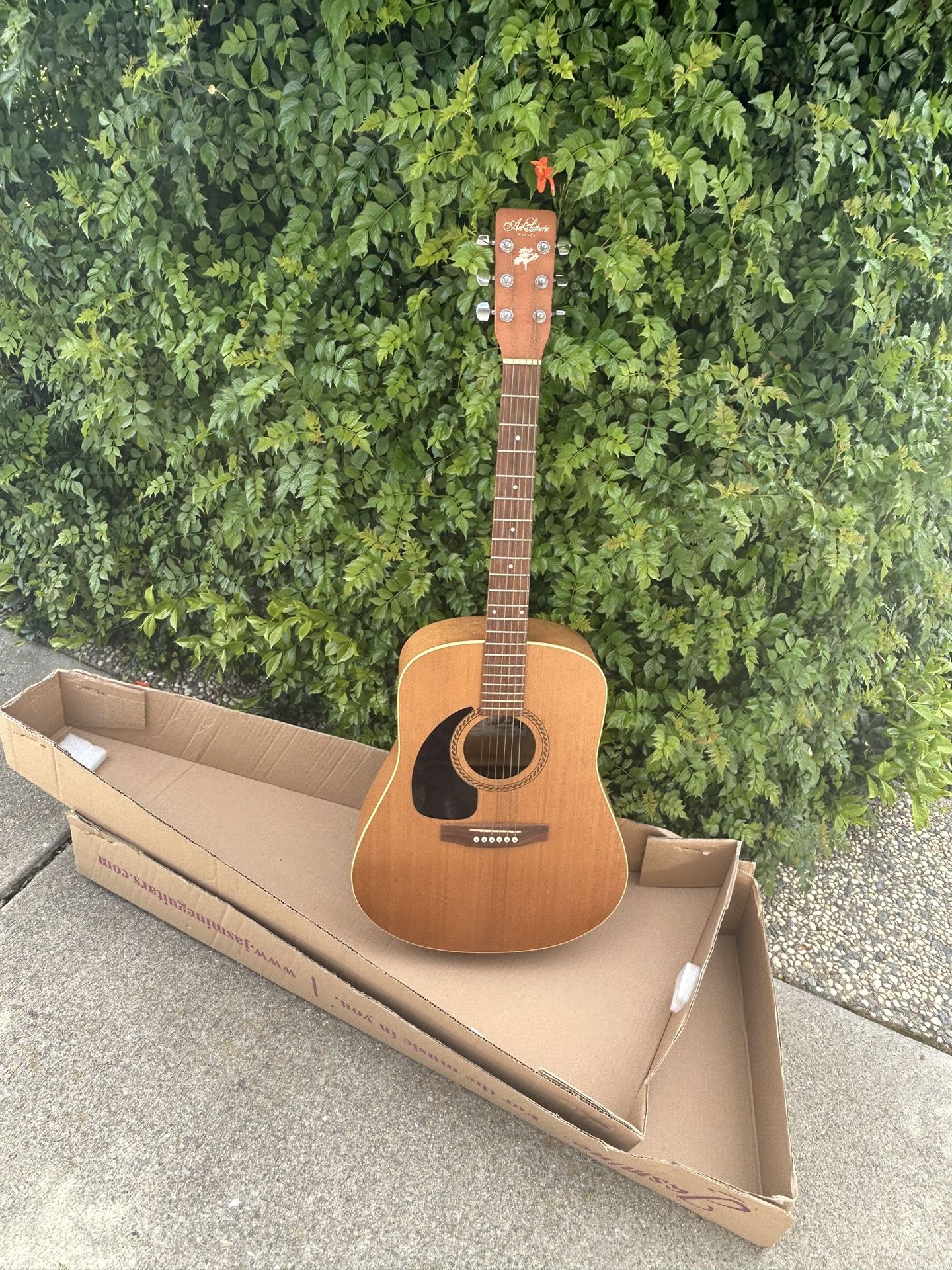 Acoustic Guitar Made In Canada 