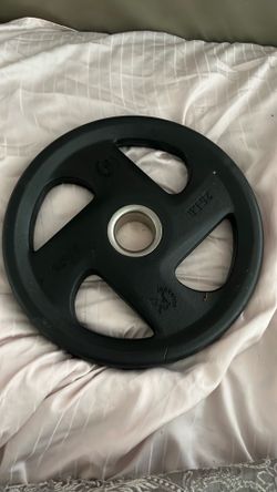 25 pound round weight great for exercising and hip thrust