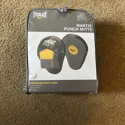 Boxing Pads