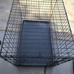 Large Dog Cagr 36x23x28