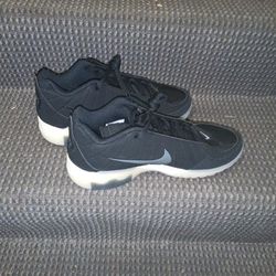 Nike LeBron Shoes 10/