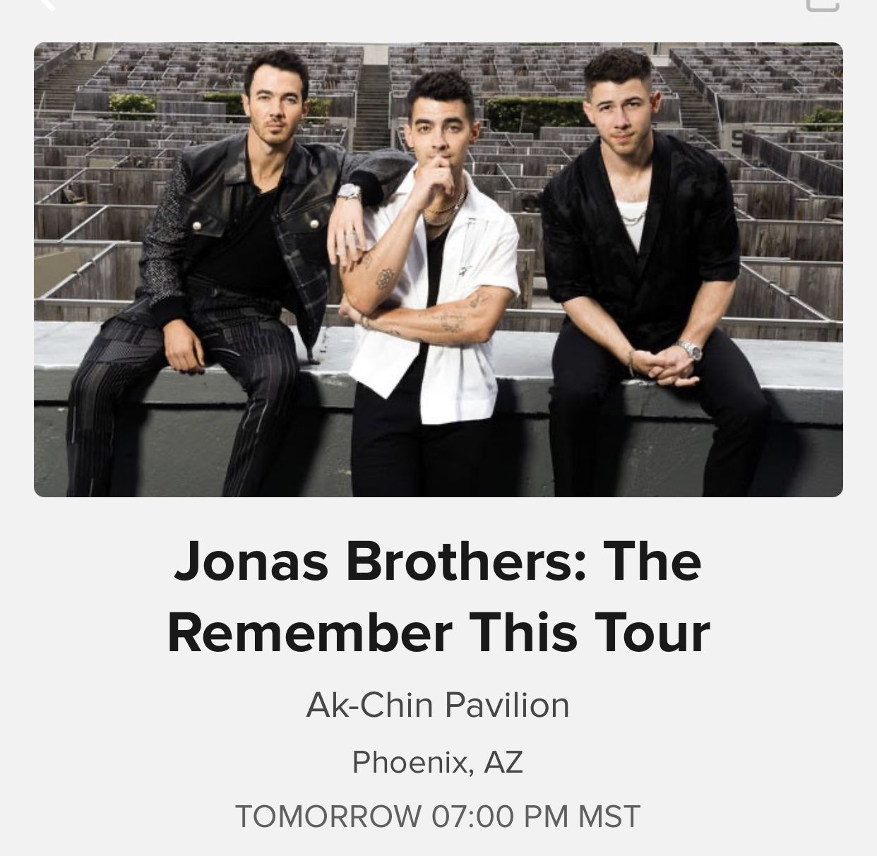 Jonas brothers Concert