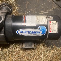 Blue Torrent Swimming Pool And Spa Pump