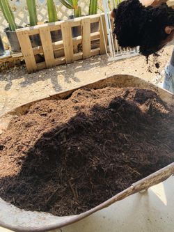Black soil organic