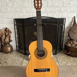 Palmer Travel Guitar