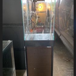 Fish tank with eveything you need!!