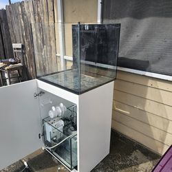 Fish Tank 