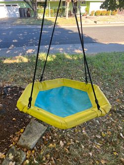Saucer tree swing