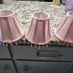 No Fan, Only the 3 Light Covers