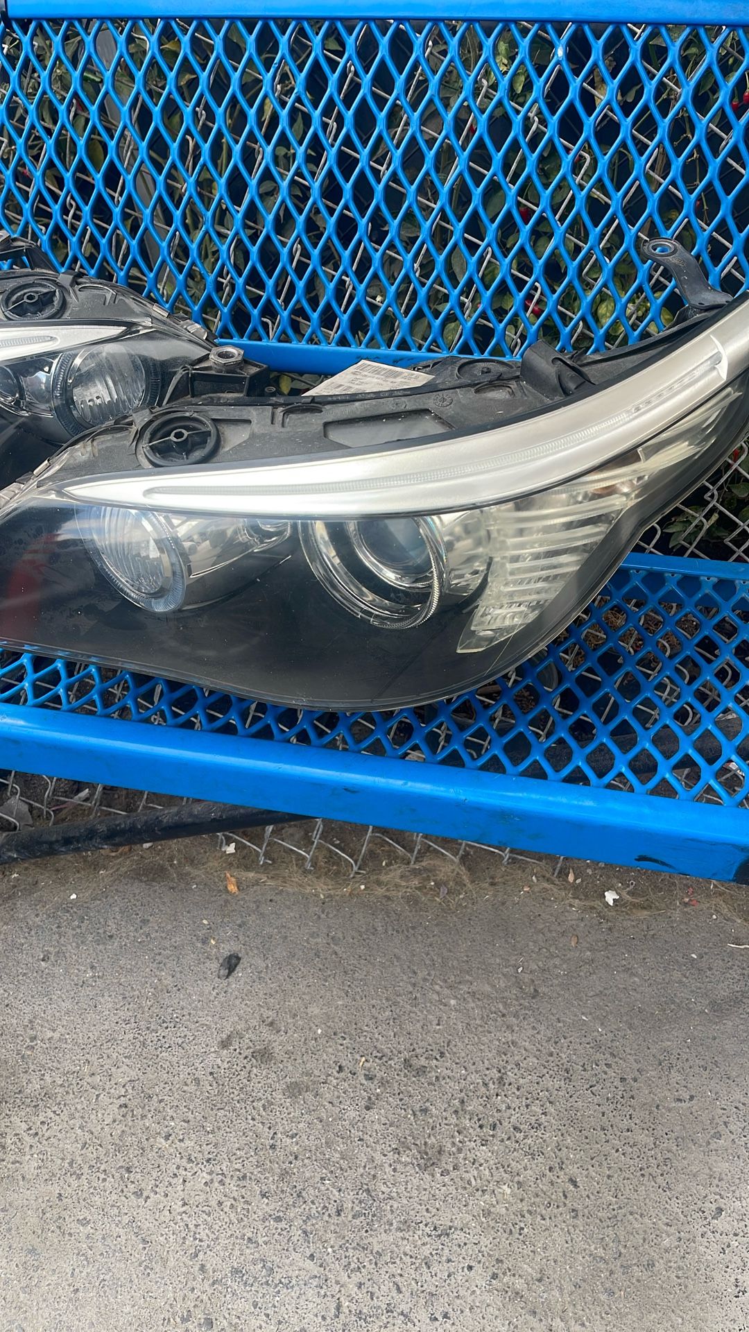 BMW Xenon Headlights