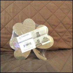 St Patty Wooden Home Decore