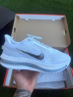 Nike men Pegasus premium