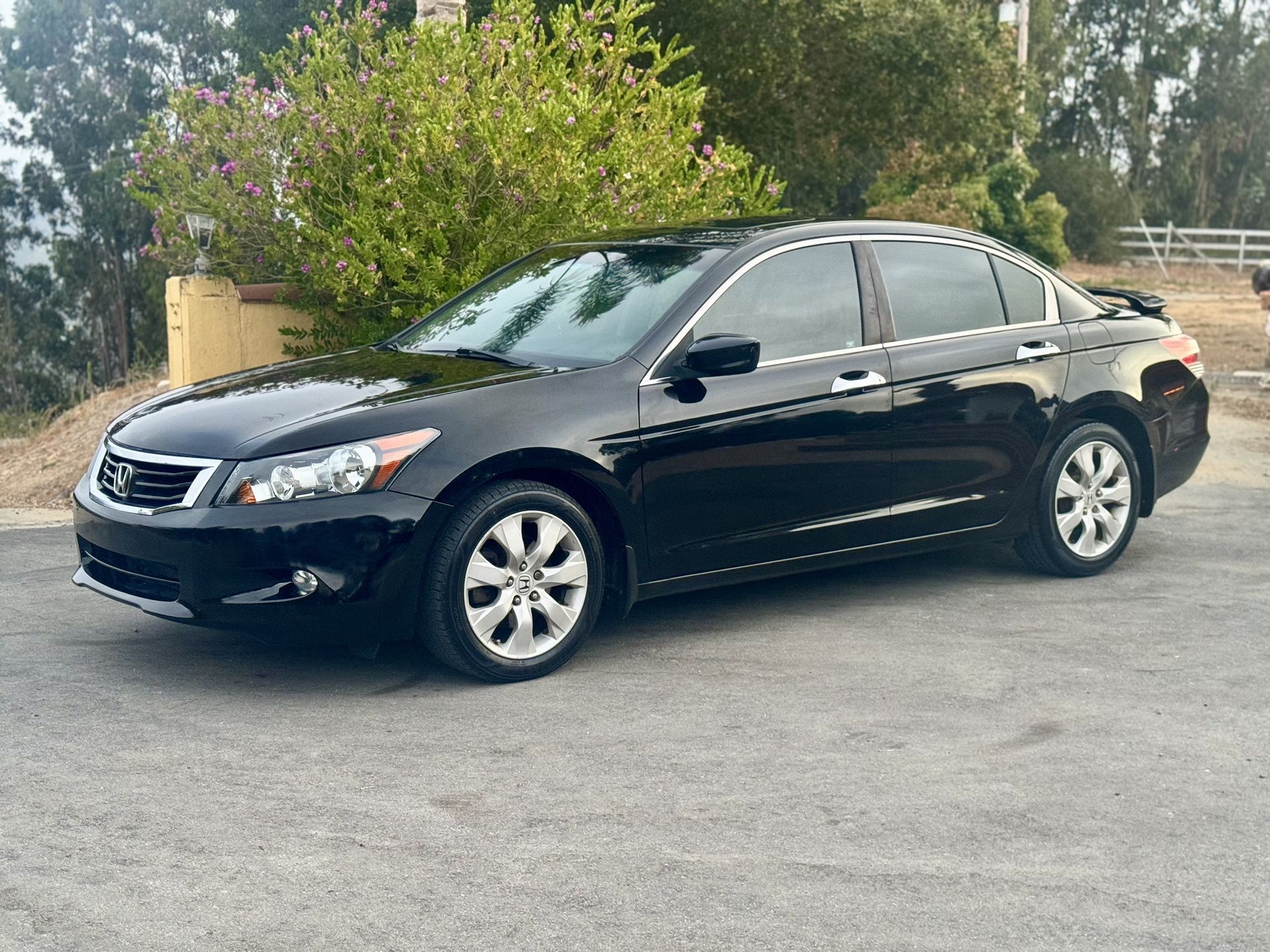 2010 Honda Accord