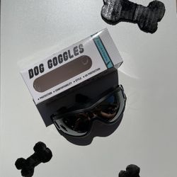 Dog Goggle’s 🥽 