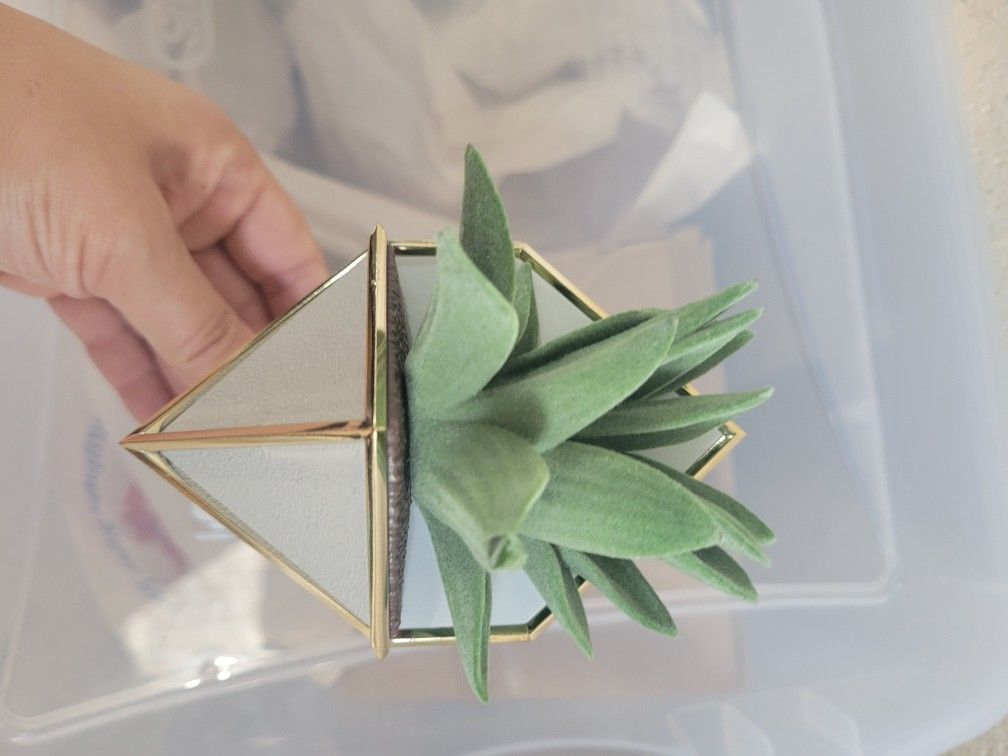 Wallflower Plug Bath And Body Works 